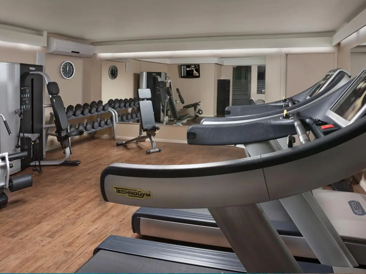 Dan Carmel