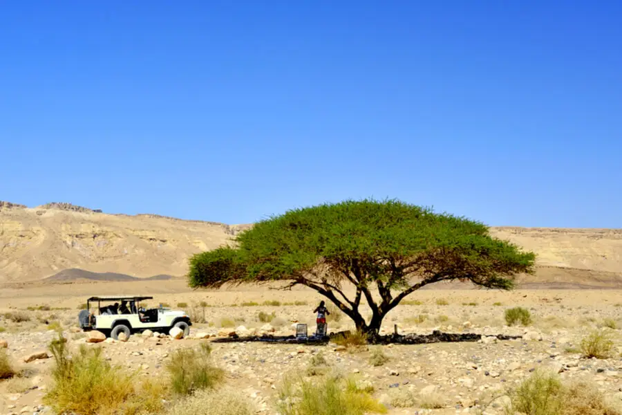 Tour en Jeep dans le désert de Judée en une journée