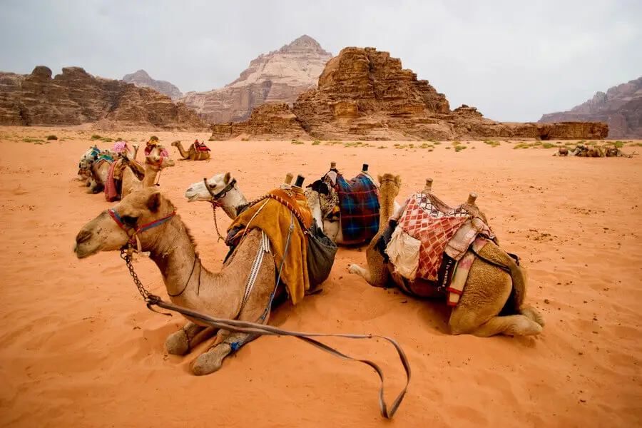Petra et Wadi Rum en 2 jours