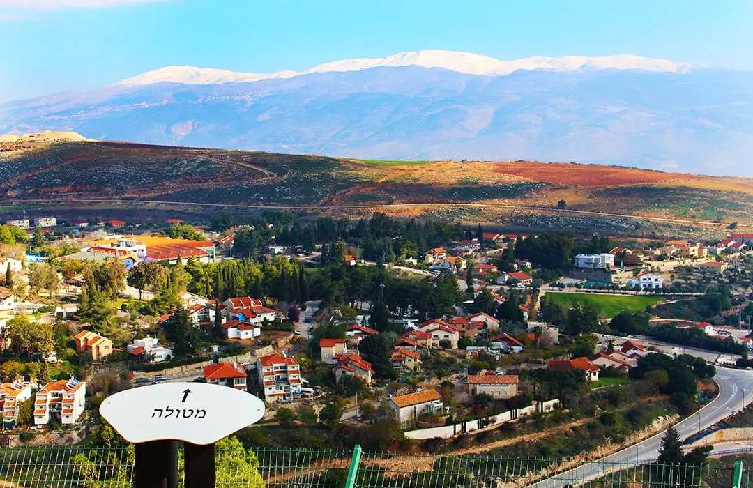 Metula