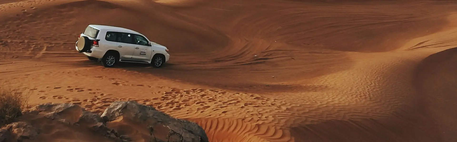 Tour en Jeep dans le désert de Judée en une journée