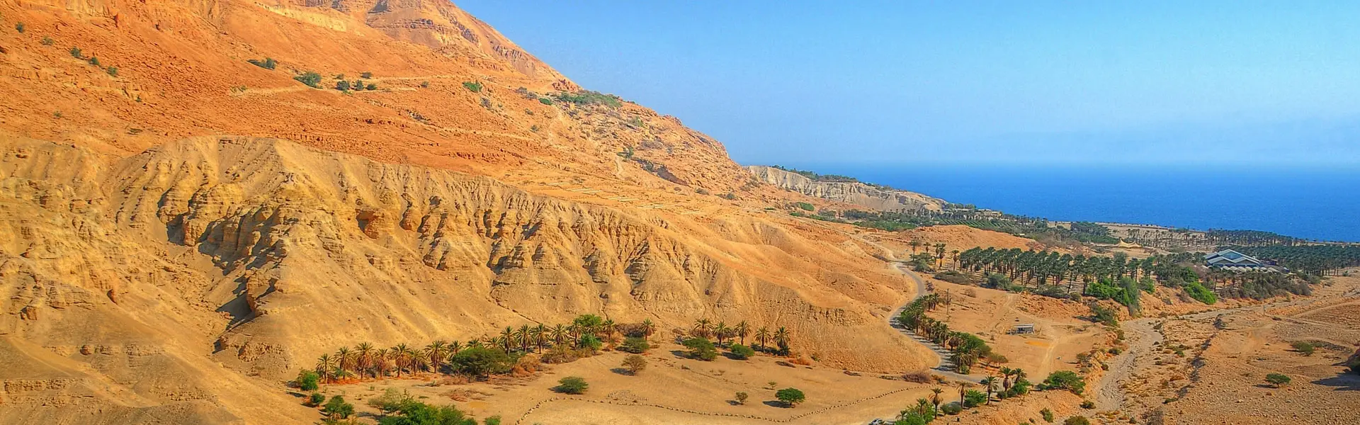 Ein Gedi